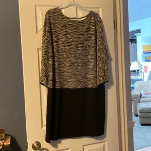 NWT Loft dolman sleeve dress knit top w banded skirt.